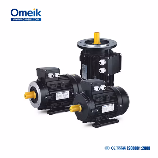 Ms Hot Sale High Speed Three Phase Electric Motor 0.18kw for Wheel Balancer, Burner