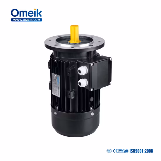 Ms Hot Sale High Speed Three Phase Electric Motor 0.18kw for Wheel Balancer, Burner