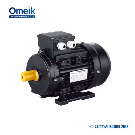 Ms Hot Sale High Speed Three Phase Electric Motor 0.18kw for Wheel Balancer, Burner