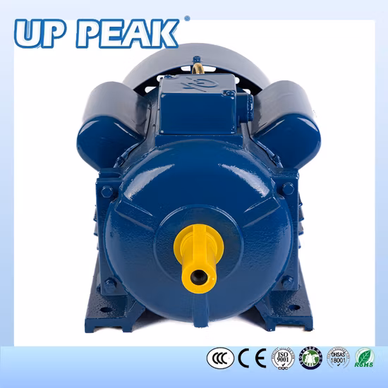중국어 단일 삼상 1.5kw 2HP 5.5kw 132m 132sb 160m 커패시터 시작 실행 AC 비동기 유도 전기 전기 모터 제조업체 공급 업체 공장